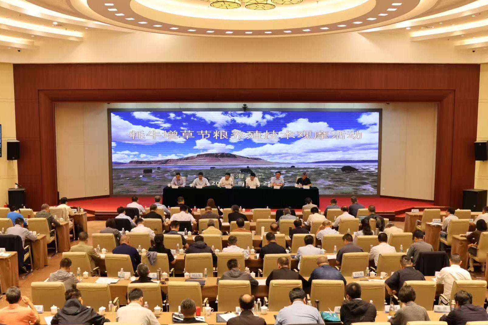 推进新技术推广应用 赋能畜牧业节本增效——牦牛增草节粮养殖技术观摩活动在青海成功举办