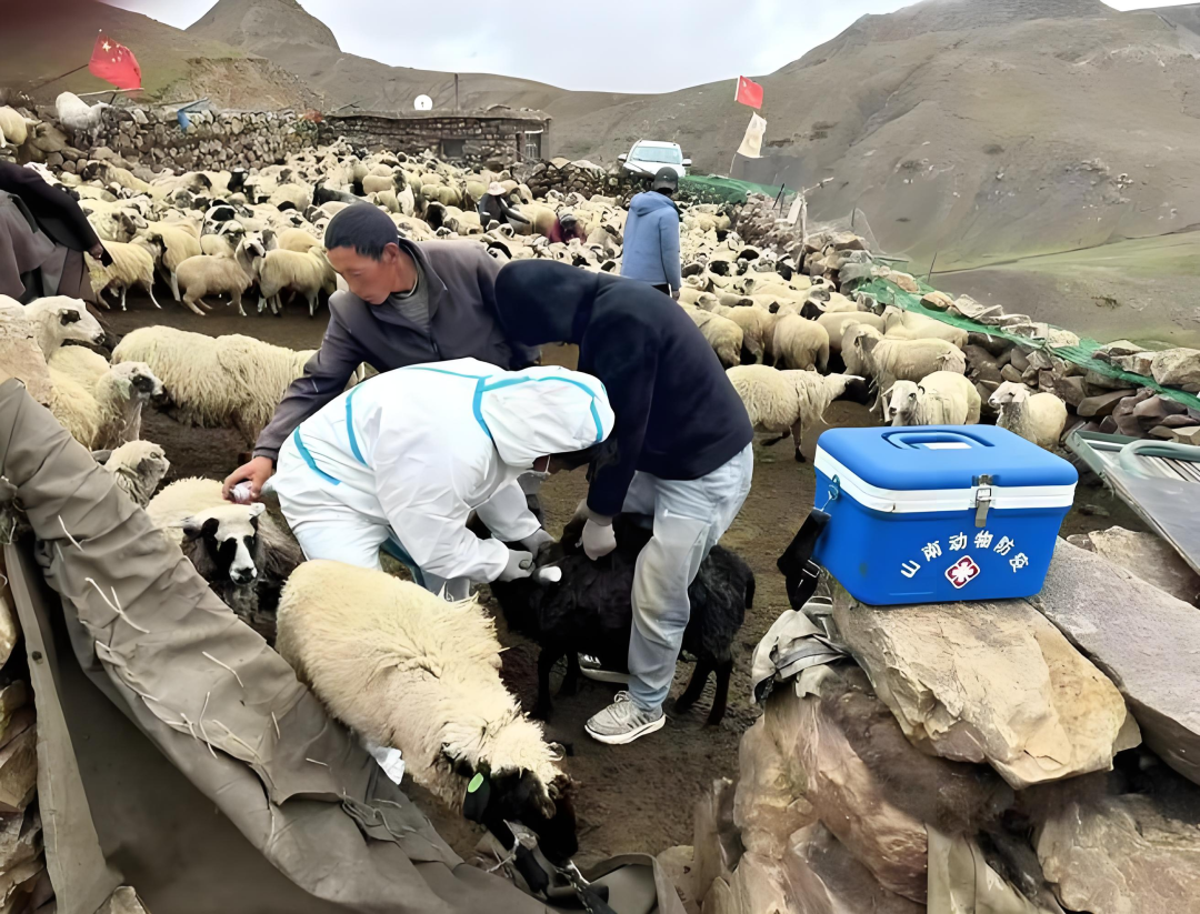 微信图片_2025-08-11_152541_038